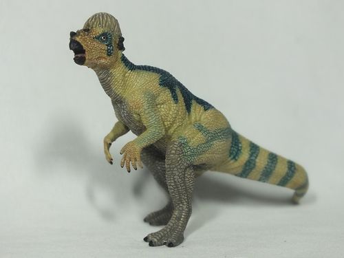55005 Baby Pachycephalosaurus