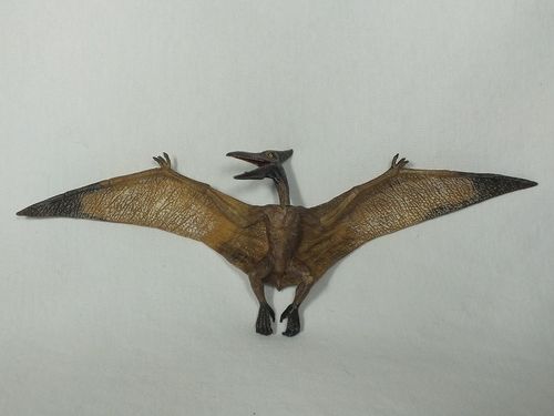 55006 Pteranodon