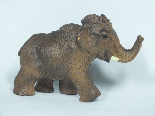 55025 Young Mammoth