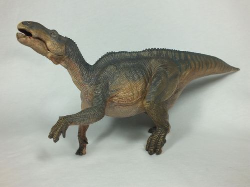 55071 Iguanodon