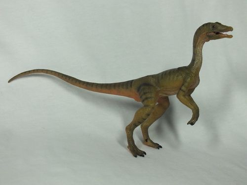 55072 Compsognathus