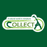 Collect-A
