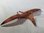 FG201 Pteranodon